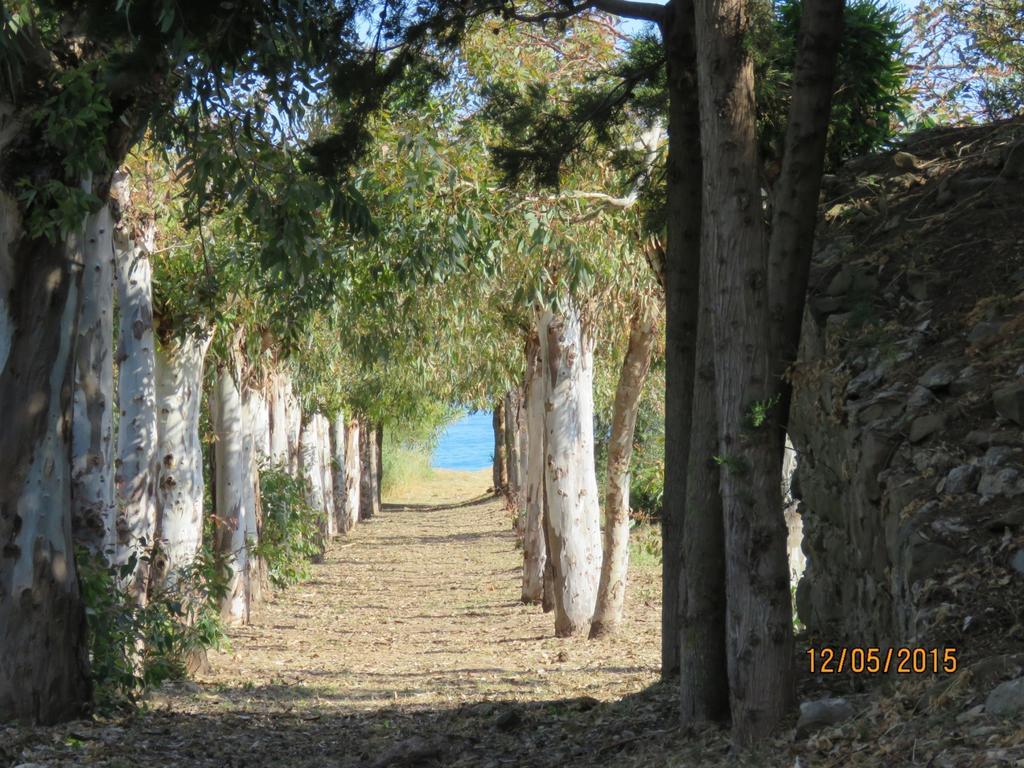 Casa Verdemare Cefalu Bagian luar foto