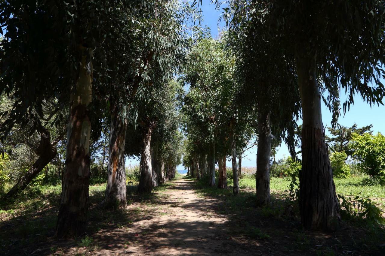 Casa Verdemare Cefalu Bagian luar foto