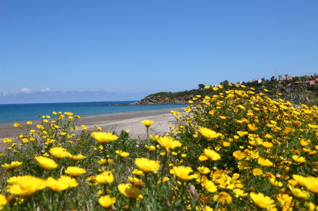 Casa Verdemare Cefalu Bagian luar foto