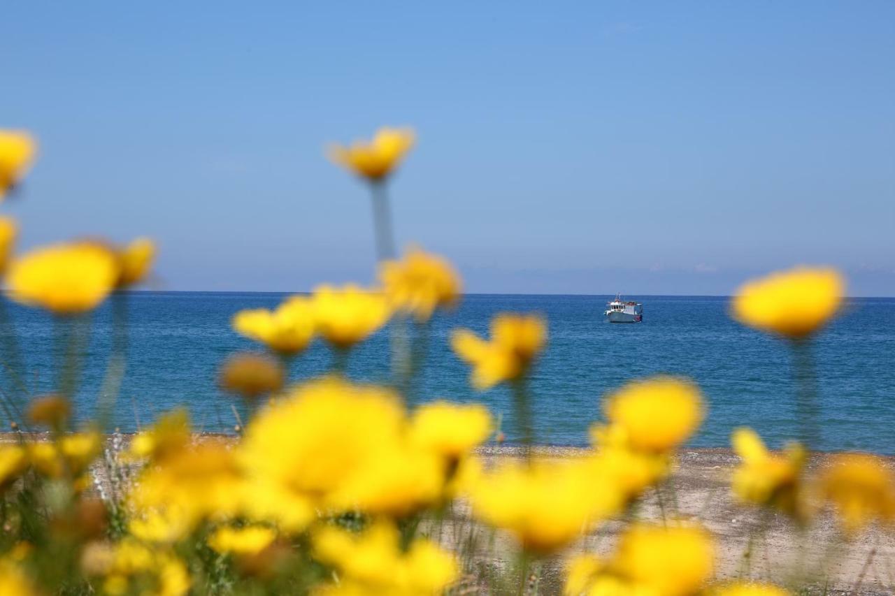 Casa Verdemare Cefalu Bagian luar foto